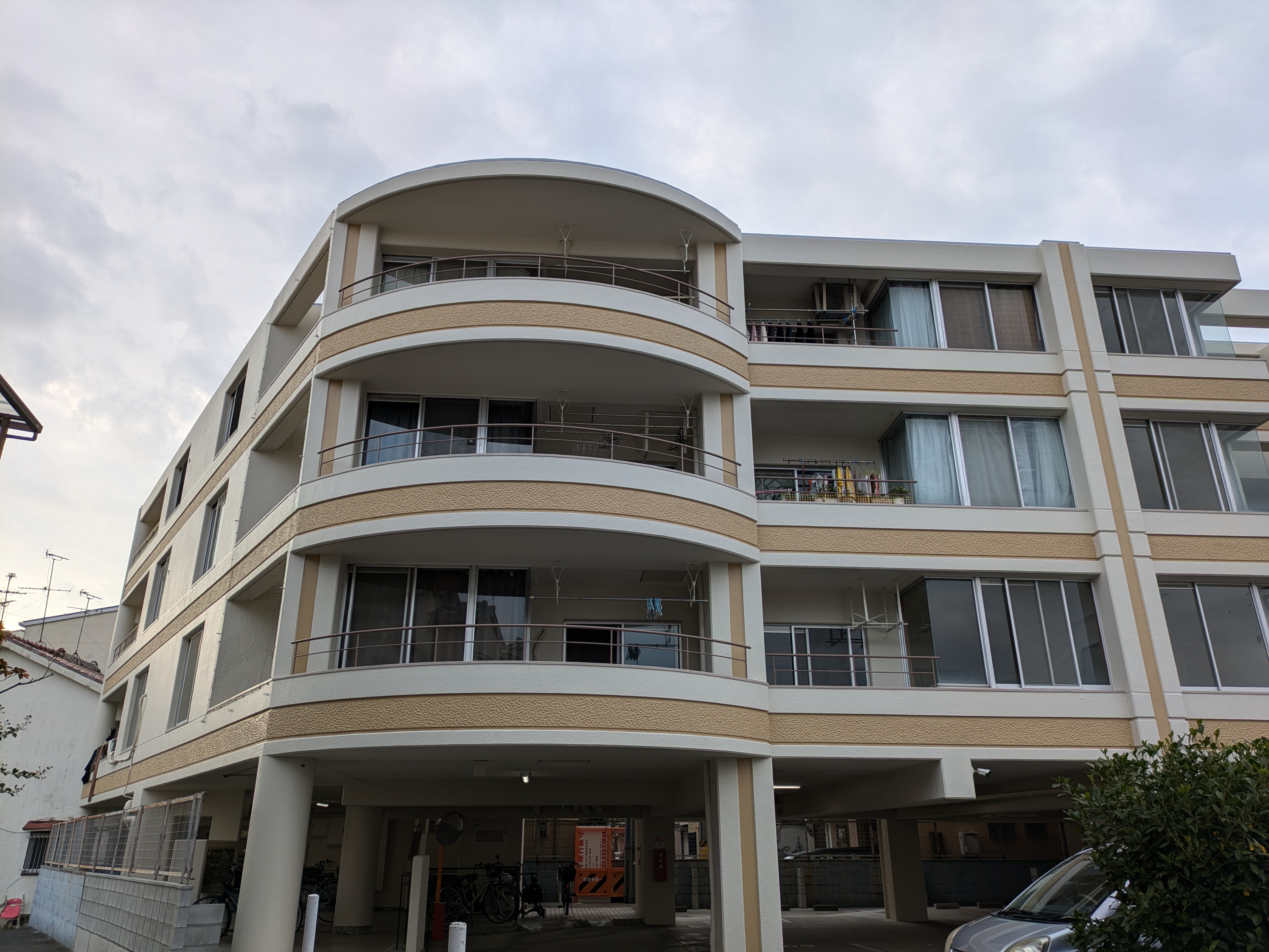 PXL_20241122_062649073